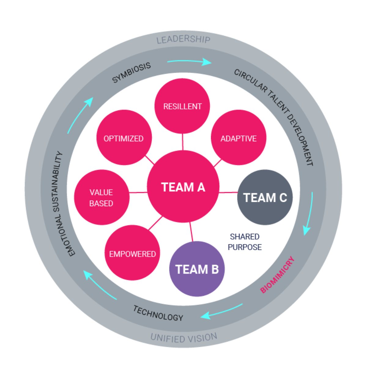 Figure 5. Biomimetic Team Structure Example