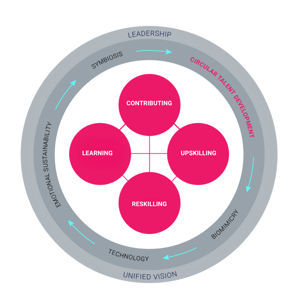 Figure 6. Circular Talent Model Example