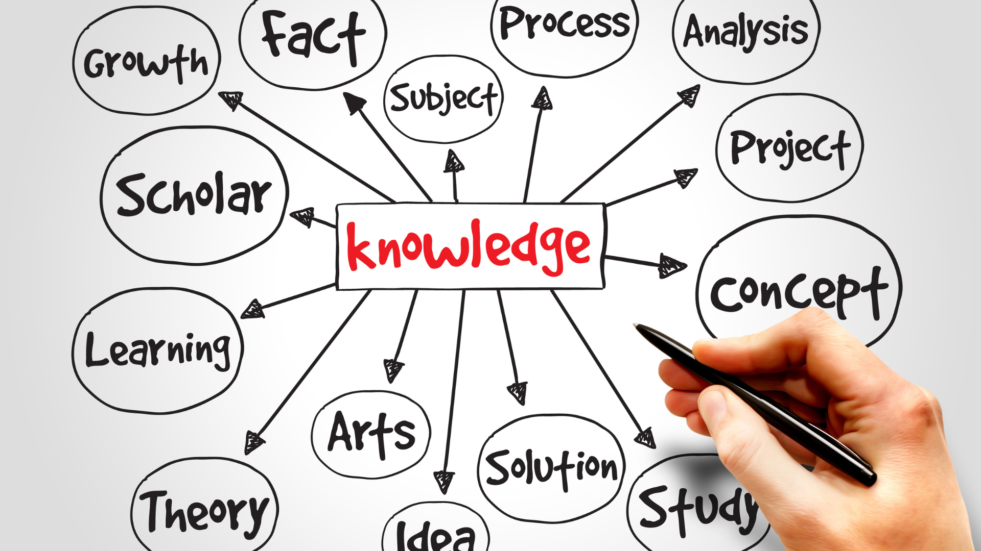 Building Knowledge Practices in the Digital-First Organization